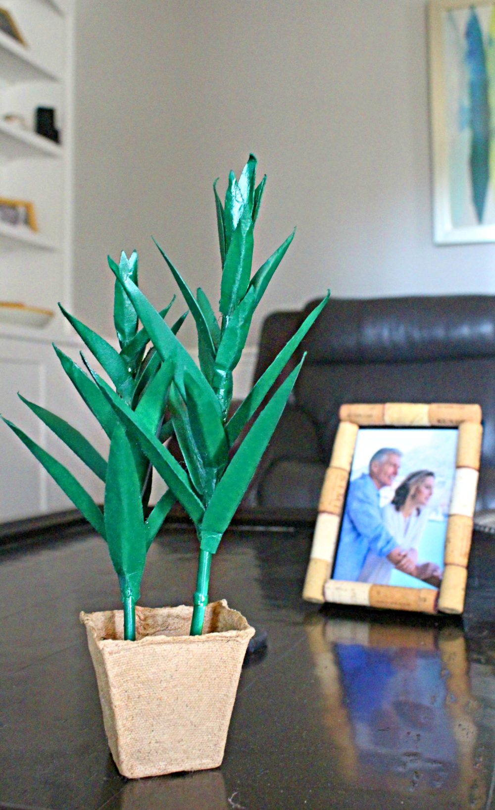 diy aloe vera plant