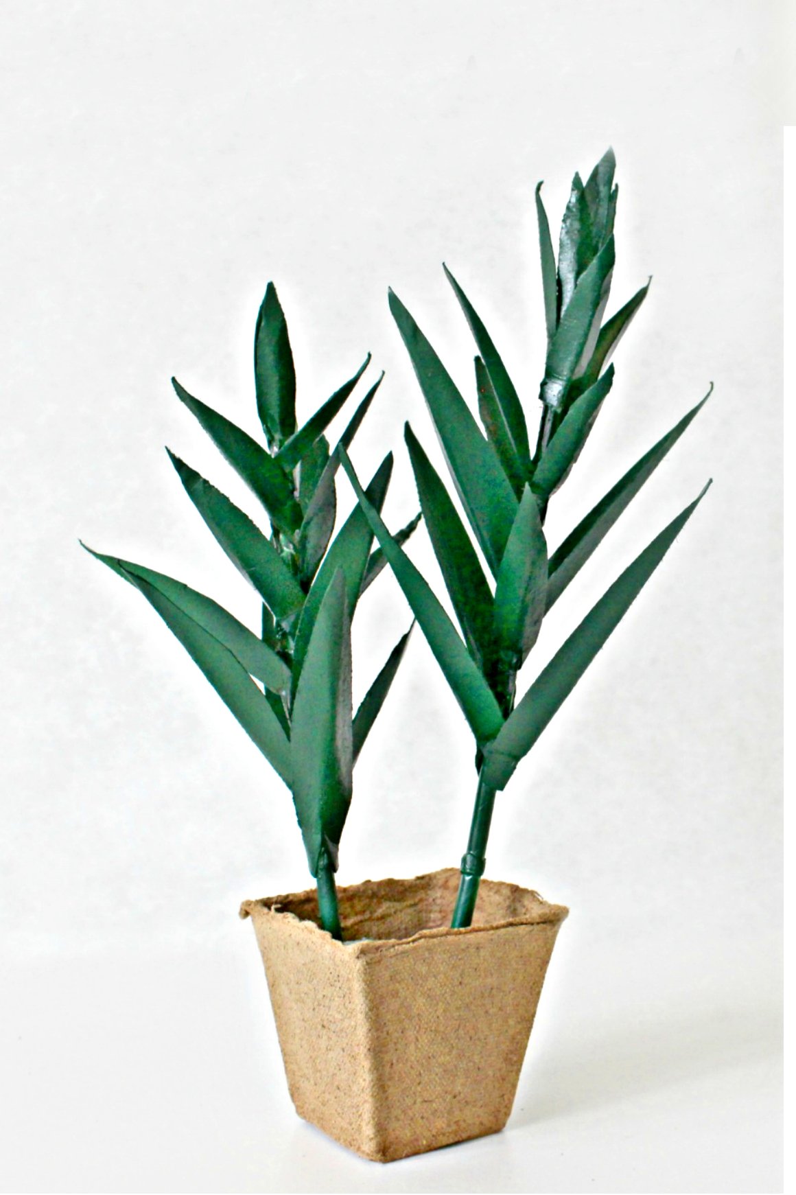 DIY Aloe Vera Paper Plant