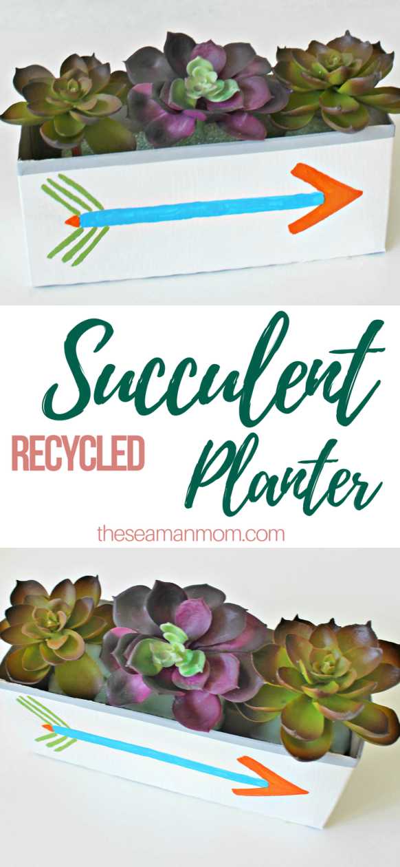 DIY succulent planter