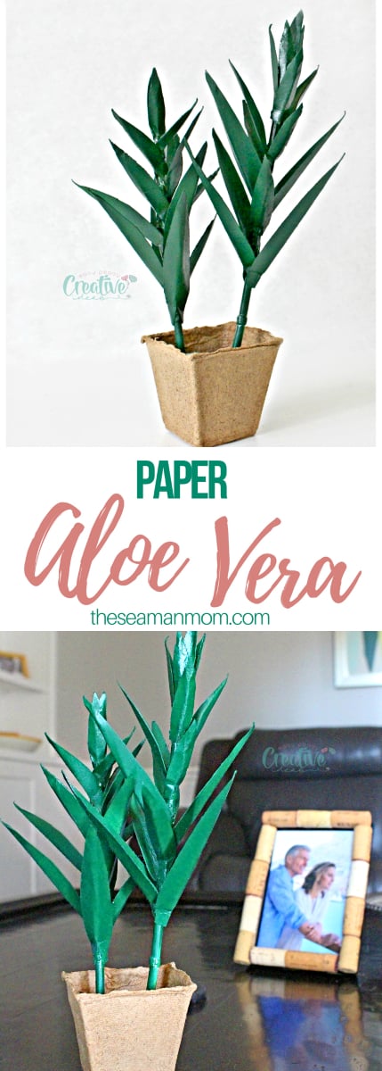 Paper plant