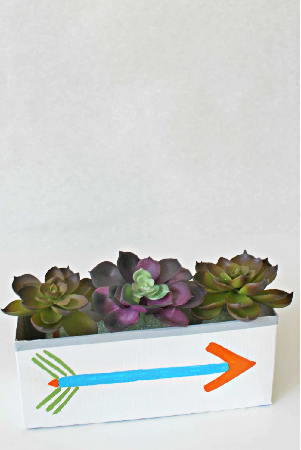 DIY succulent planter with recycled cereal box