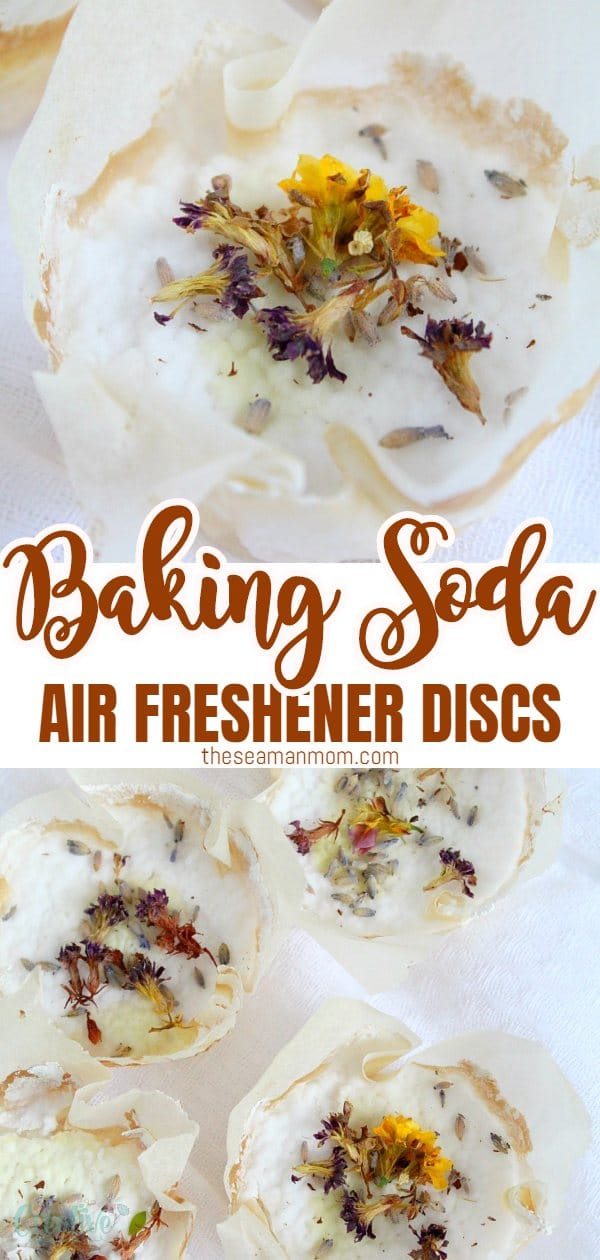 Air freshener discs
