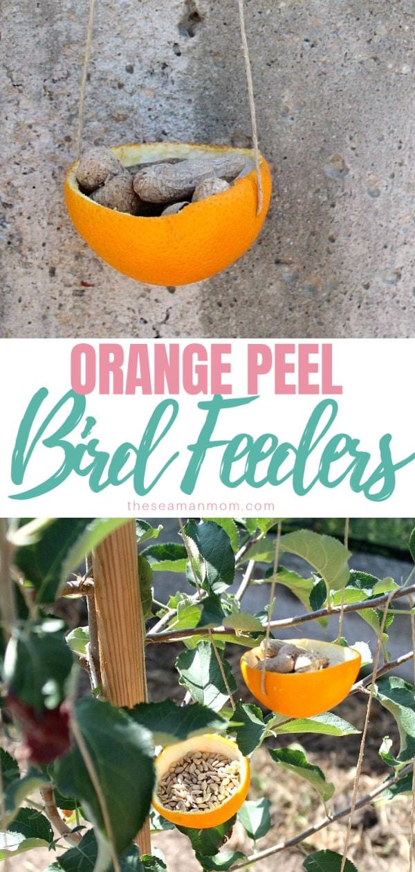 Orange bird feeder