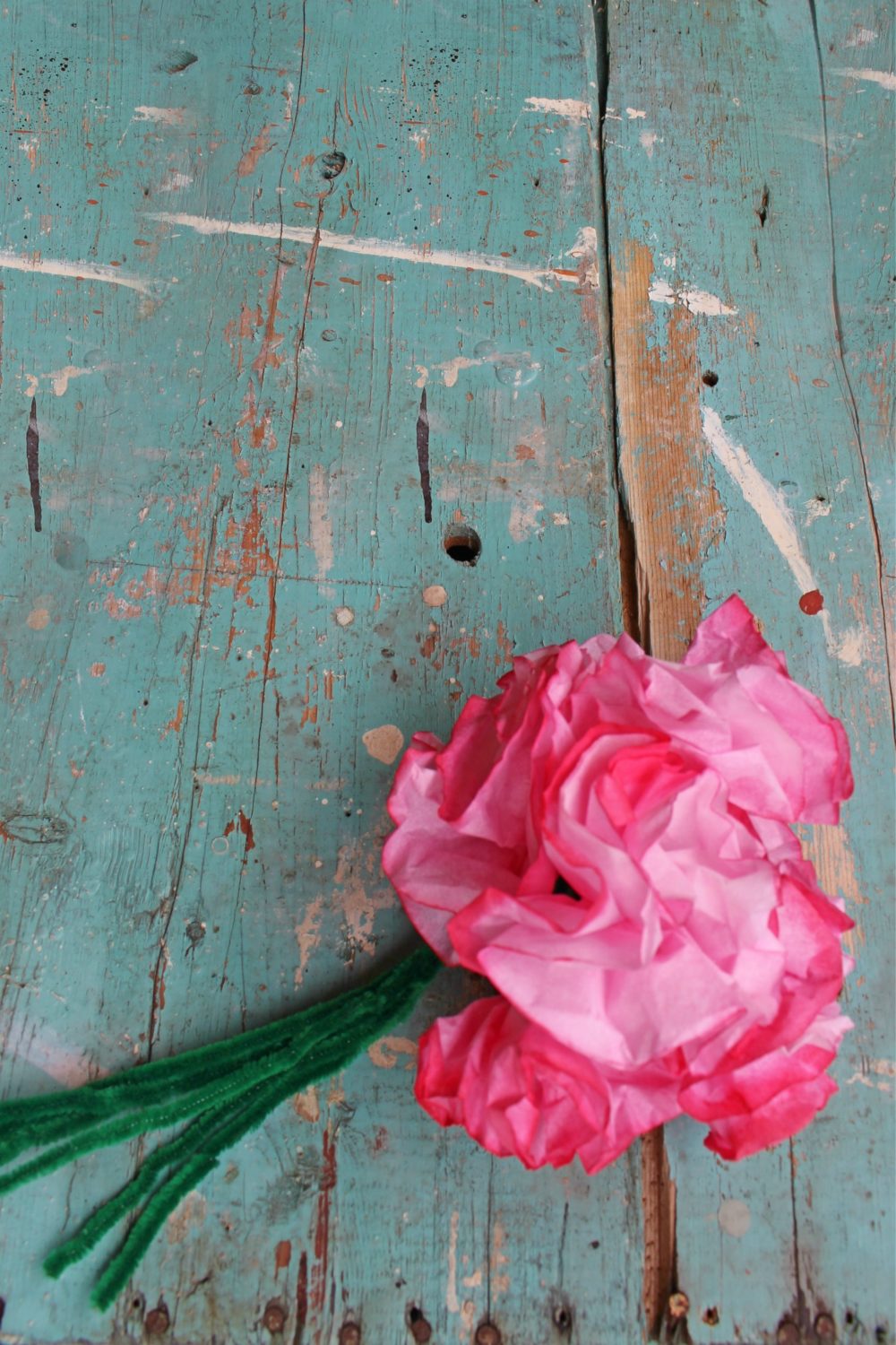 diy coffee filter flowers