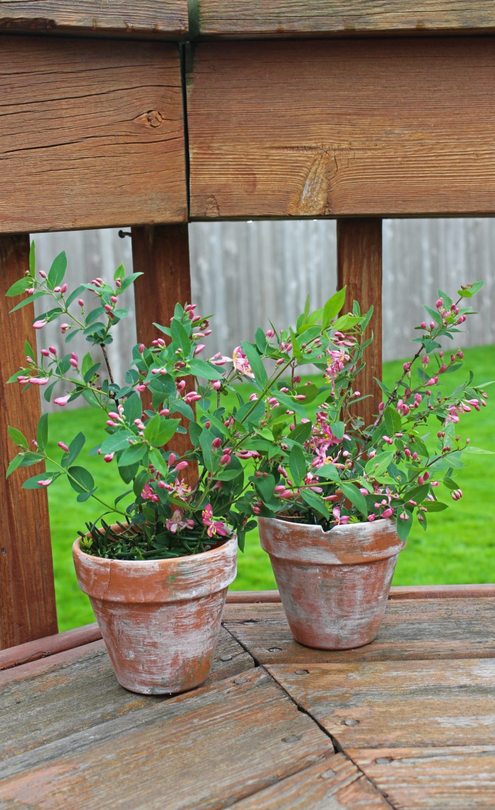  Aged Terracotta Pots  That Breath Vintage Into Your Decor