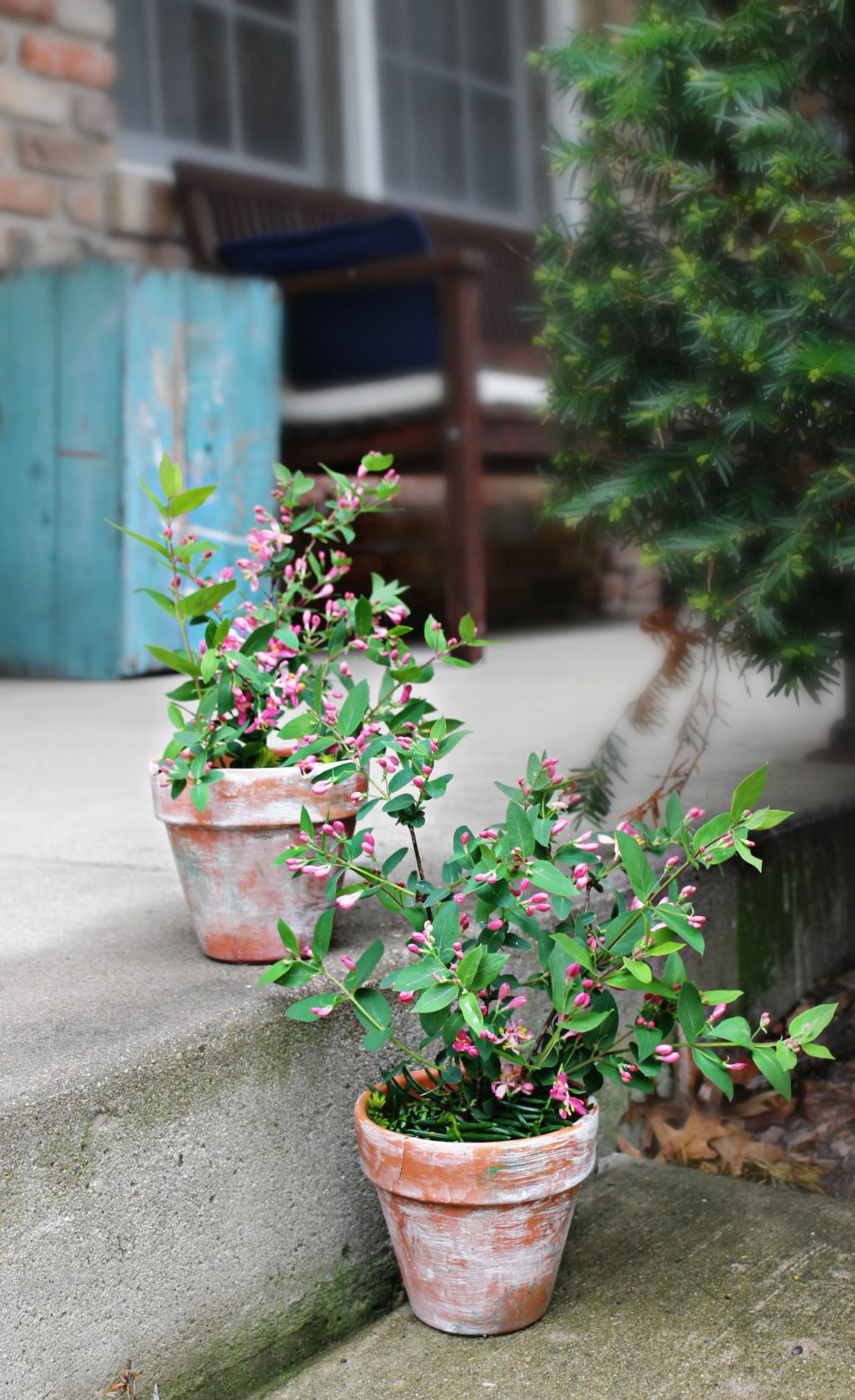  Aged Terracotta Pots  That Breath Vintage Into Your Decor