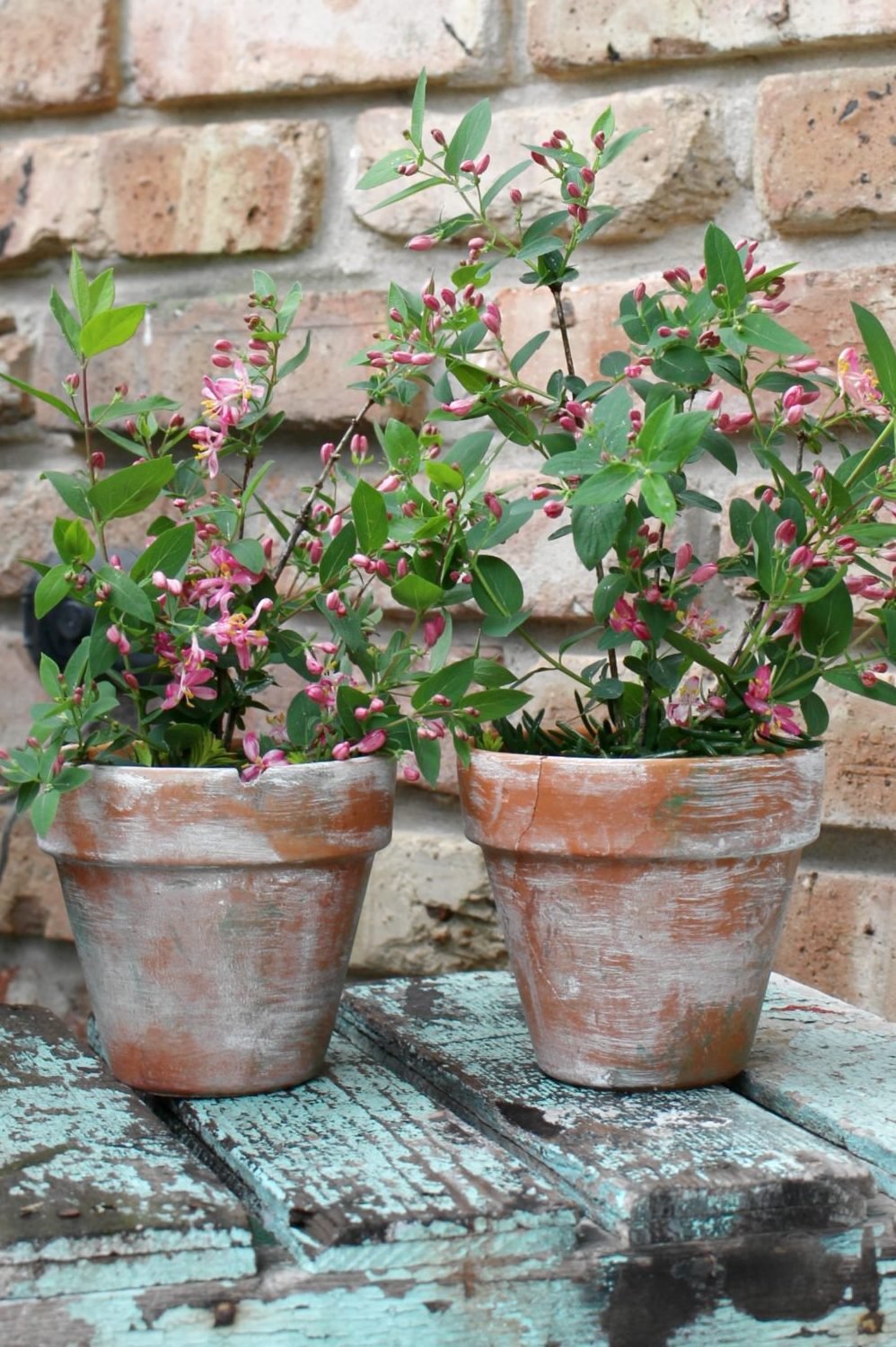 See how easy and quick to make are these adorable aged terracotta pots!
