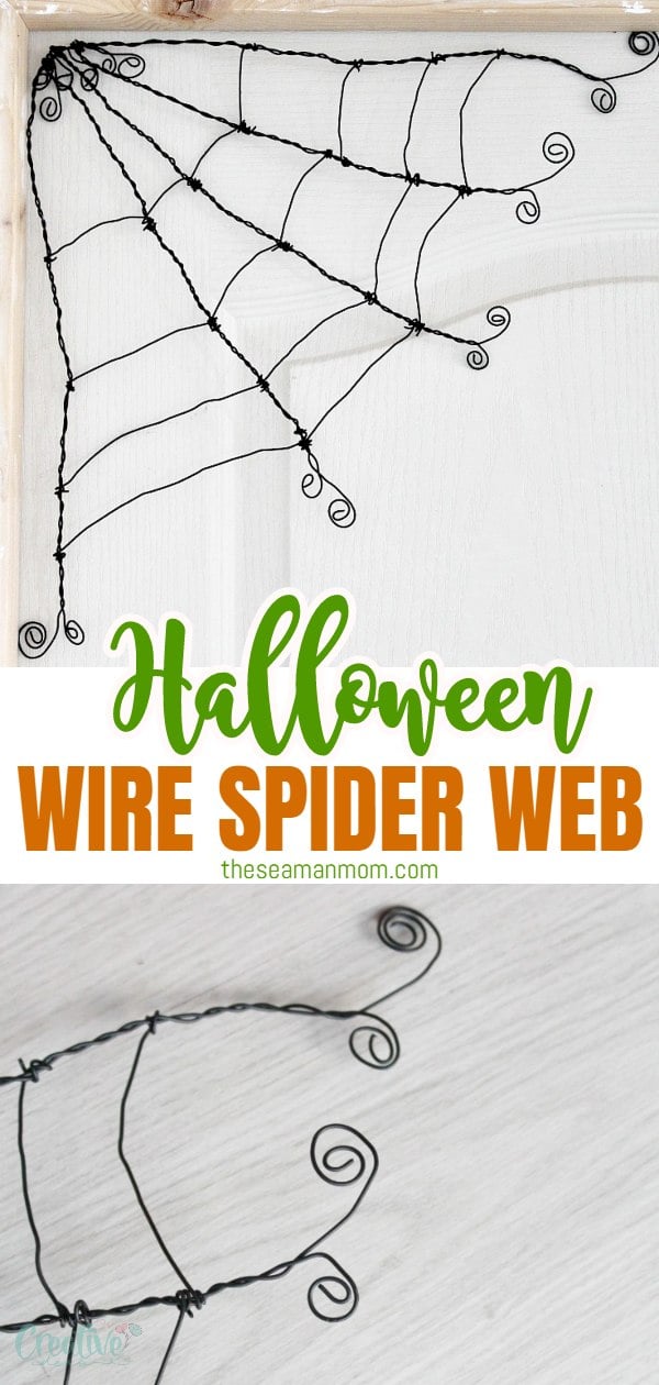 DIY spider web
