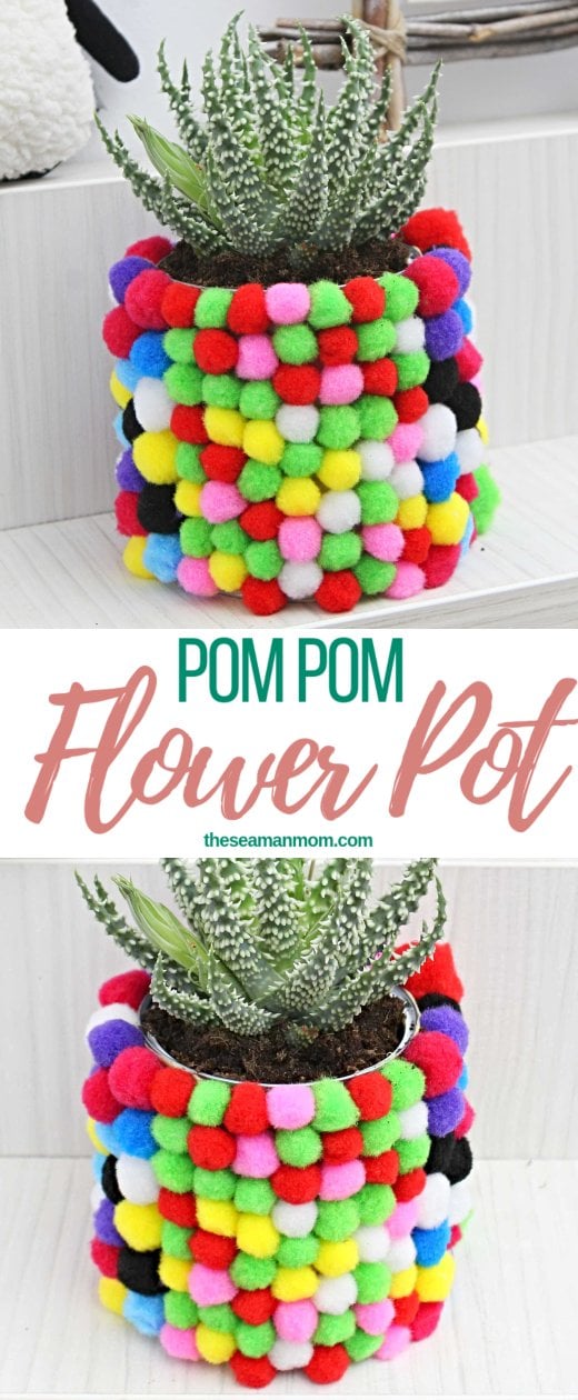 DIY flower pot