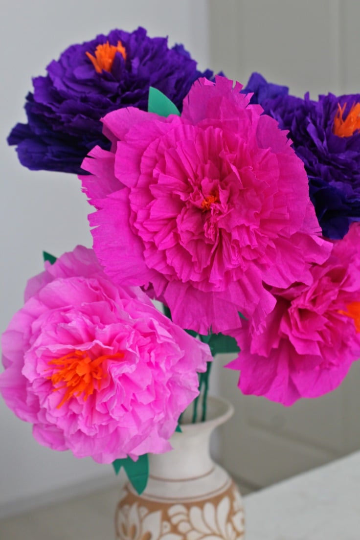 Crepe paper peonies