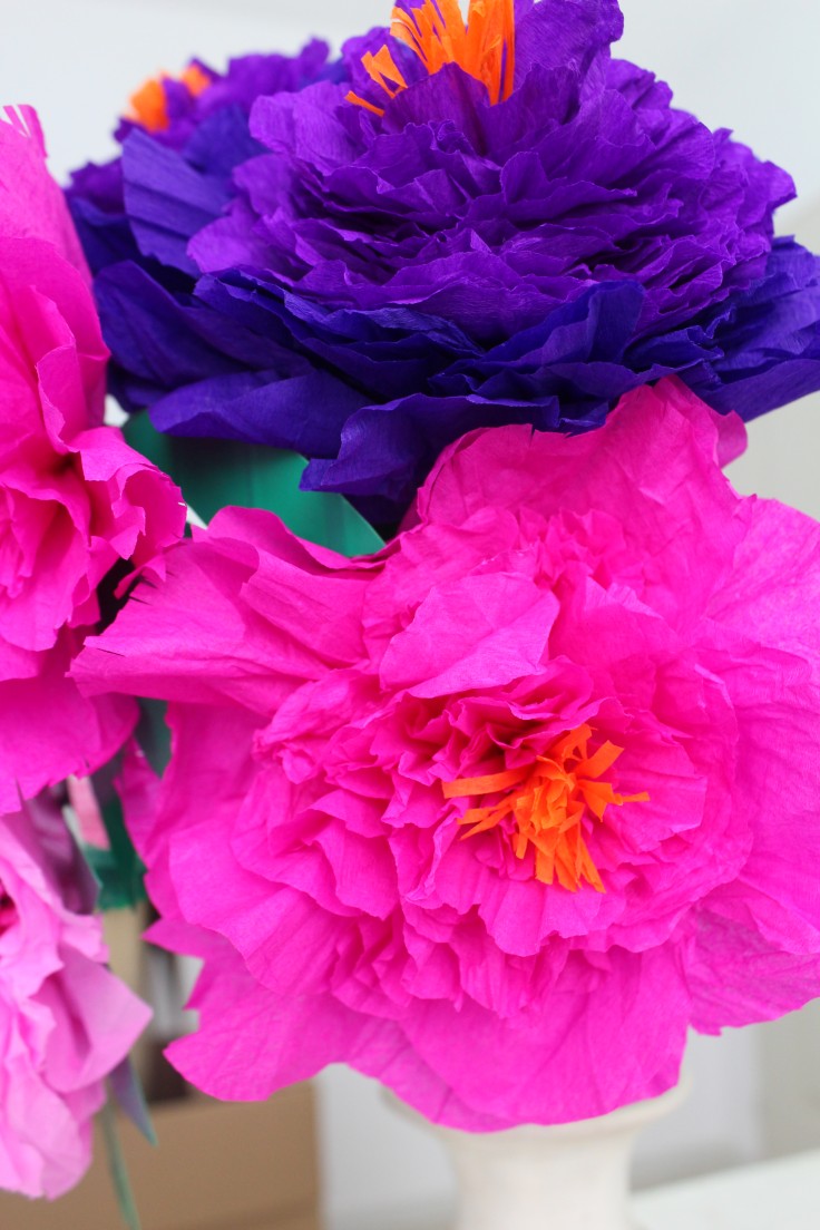 DIY crepe paper peonies