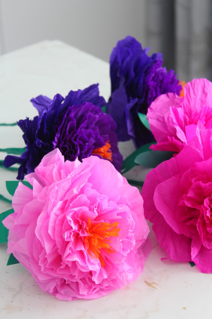 Paper peonies