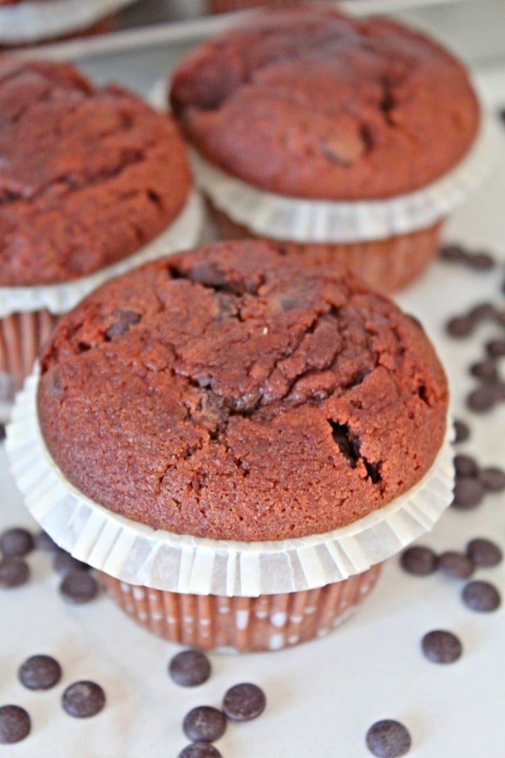 Choc chip muffins