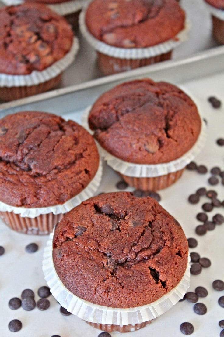 Chocolate muffins recipe