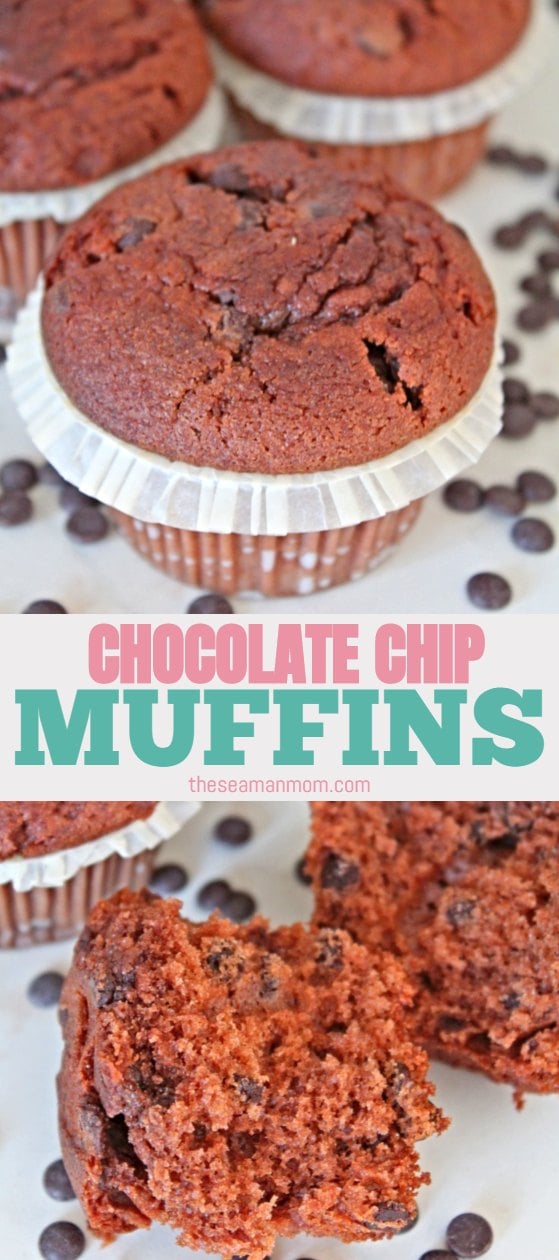 Chocolate muffins recipe