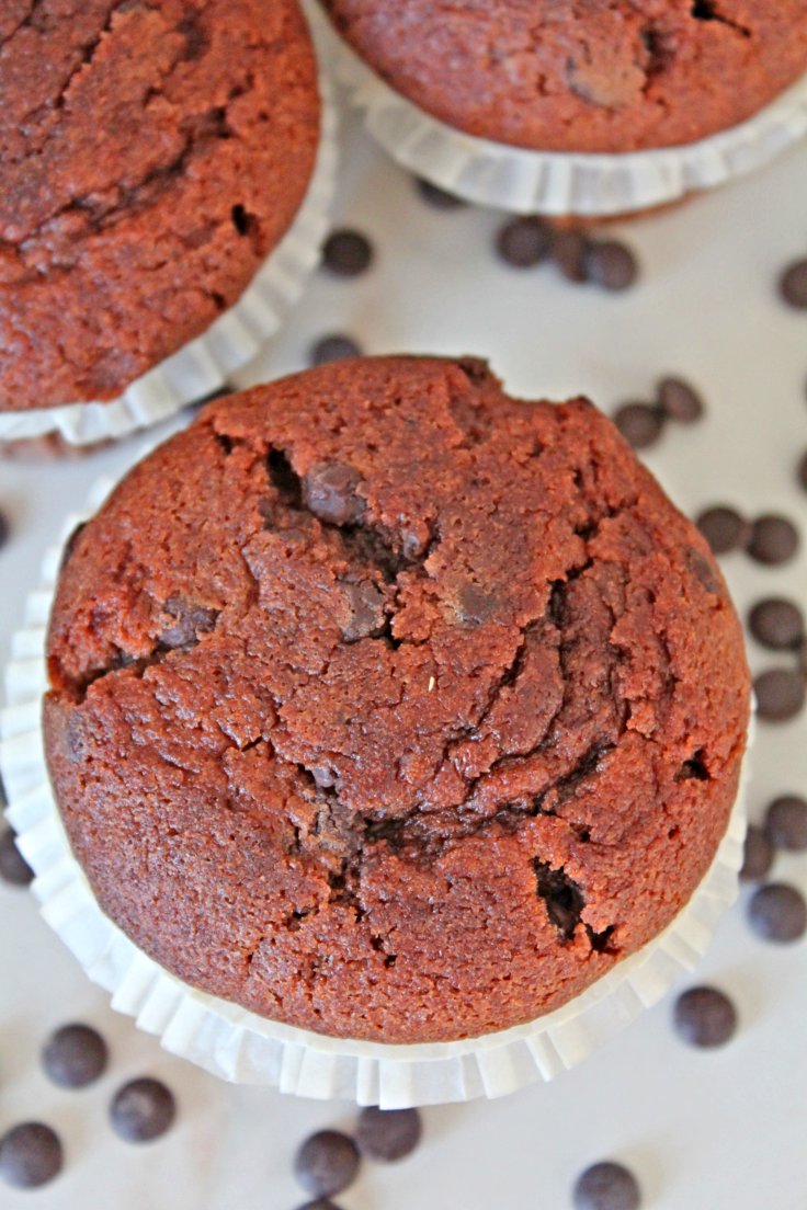 Easy chocolate muffins