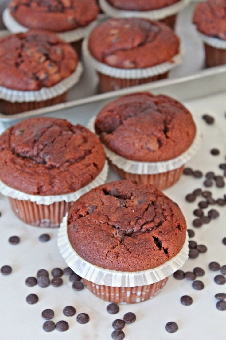 Chocolate muffins recipe