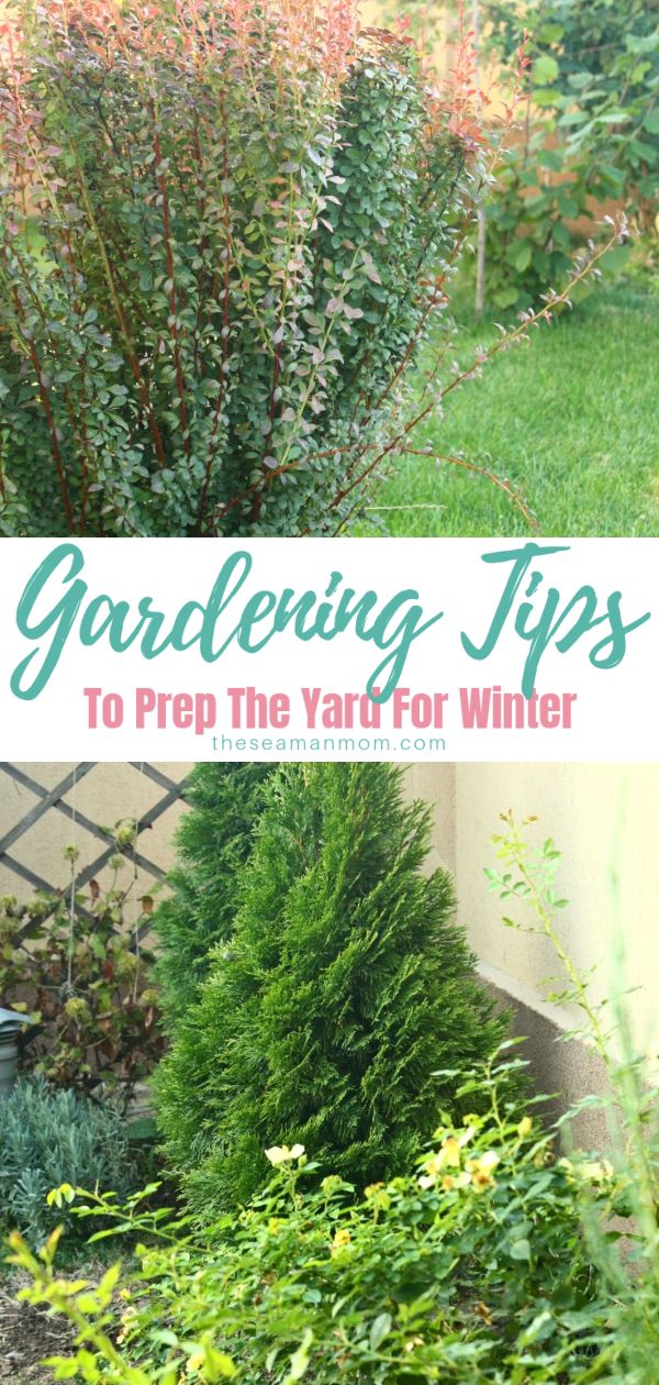 Fall gardening tips