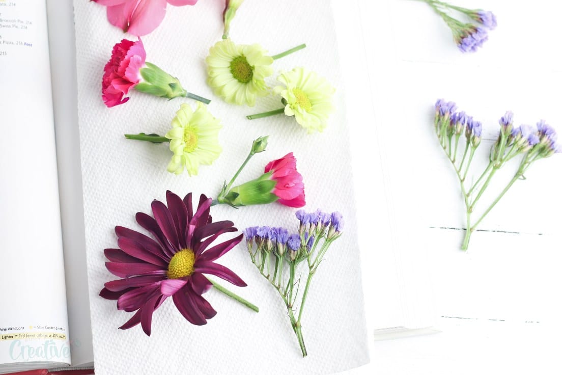 Free Download: A Visual Guide to Dried Flowers for Crafts