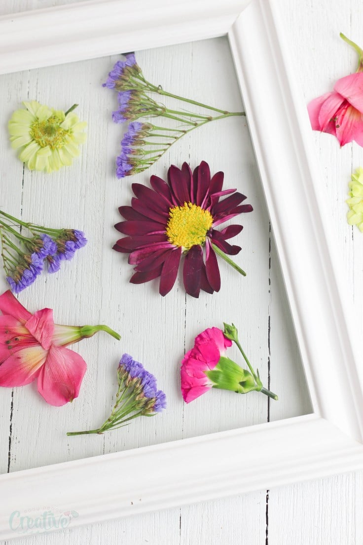 Framed Dried Flowers Craft