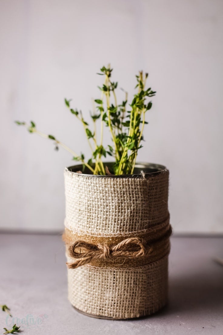 DIY herb pot from recycled tin can