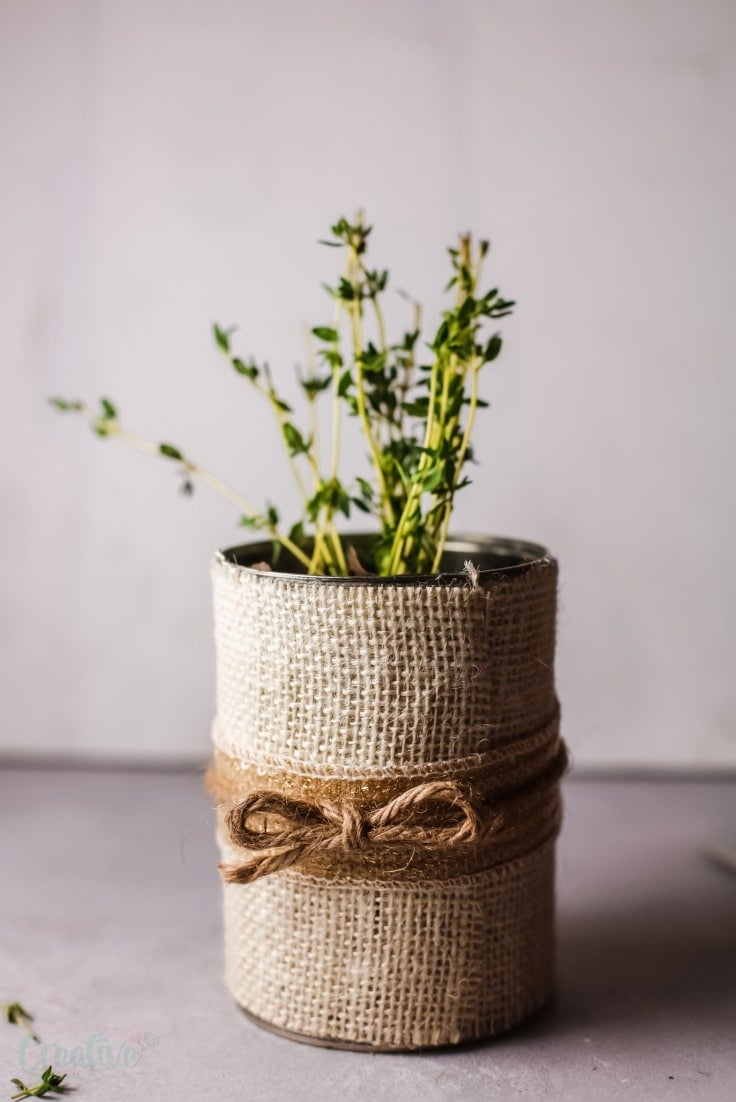 Tin can planter