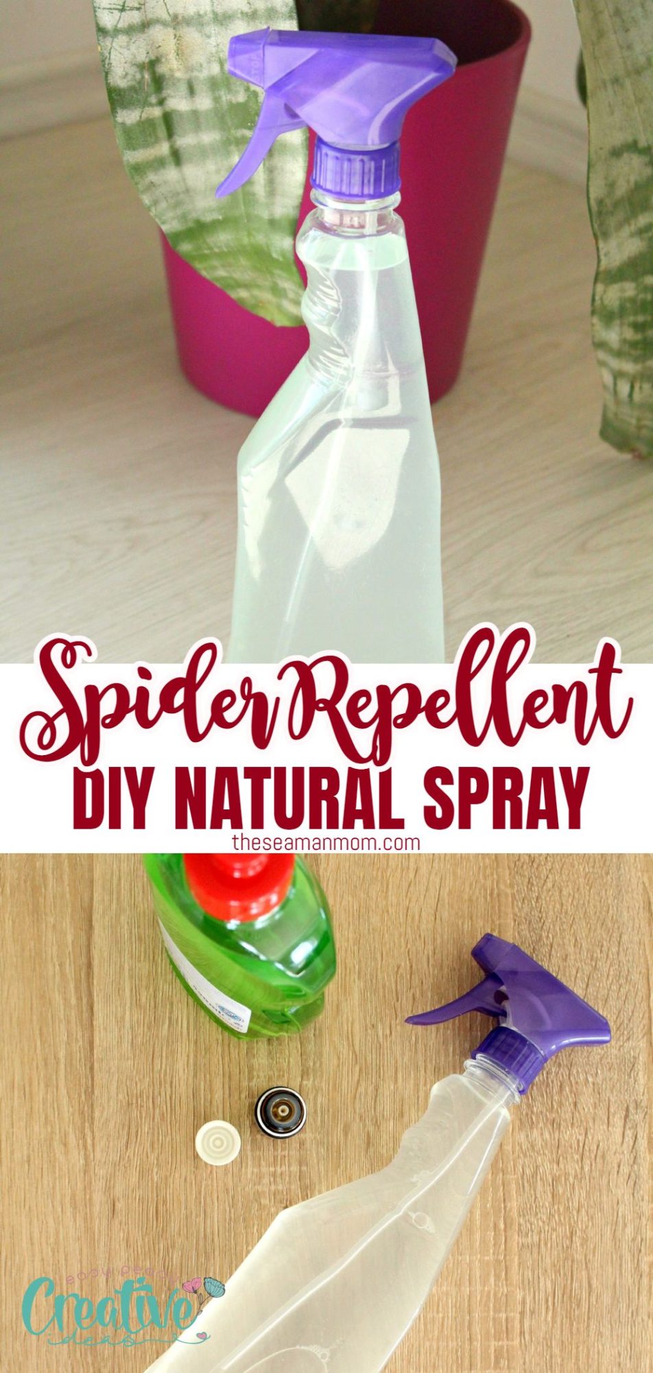 Photo collage of DIY spider repellent in a spray bottle