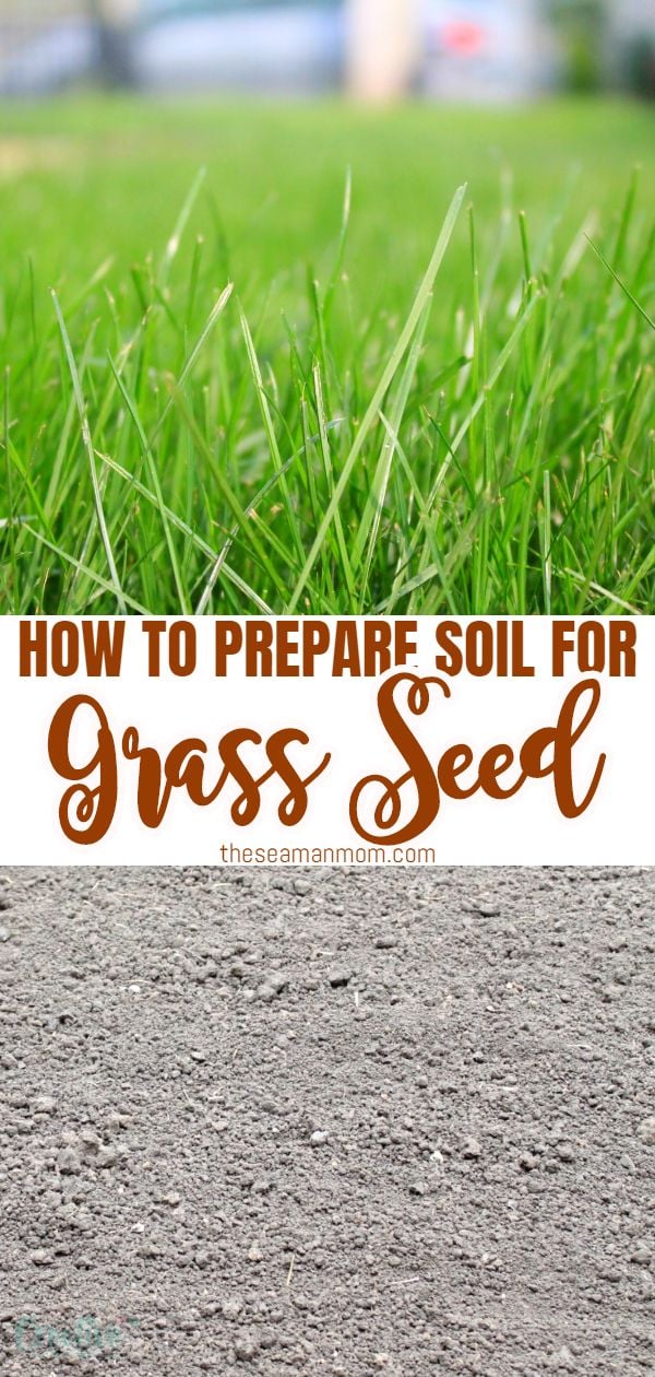 How to prepare soil for grass seed