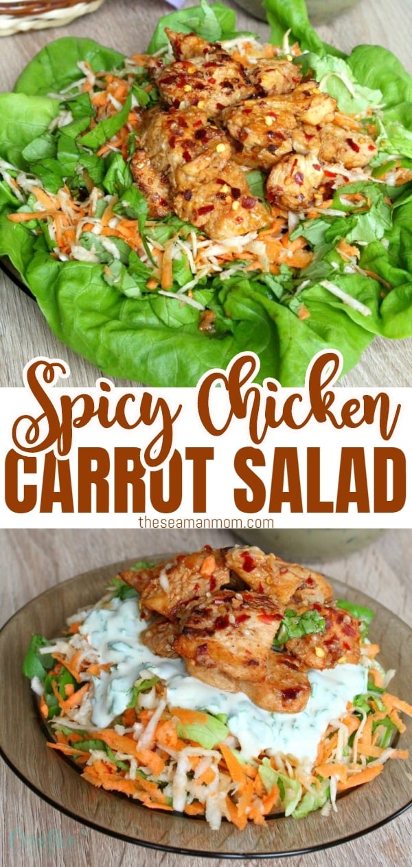 Spicy chicken salad