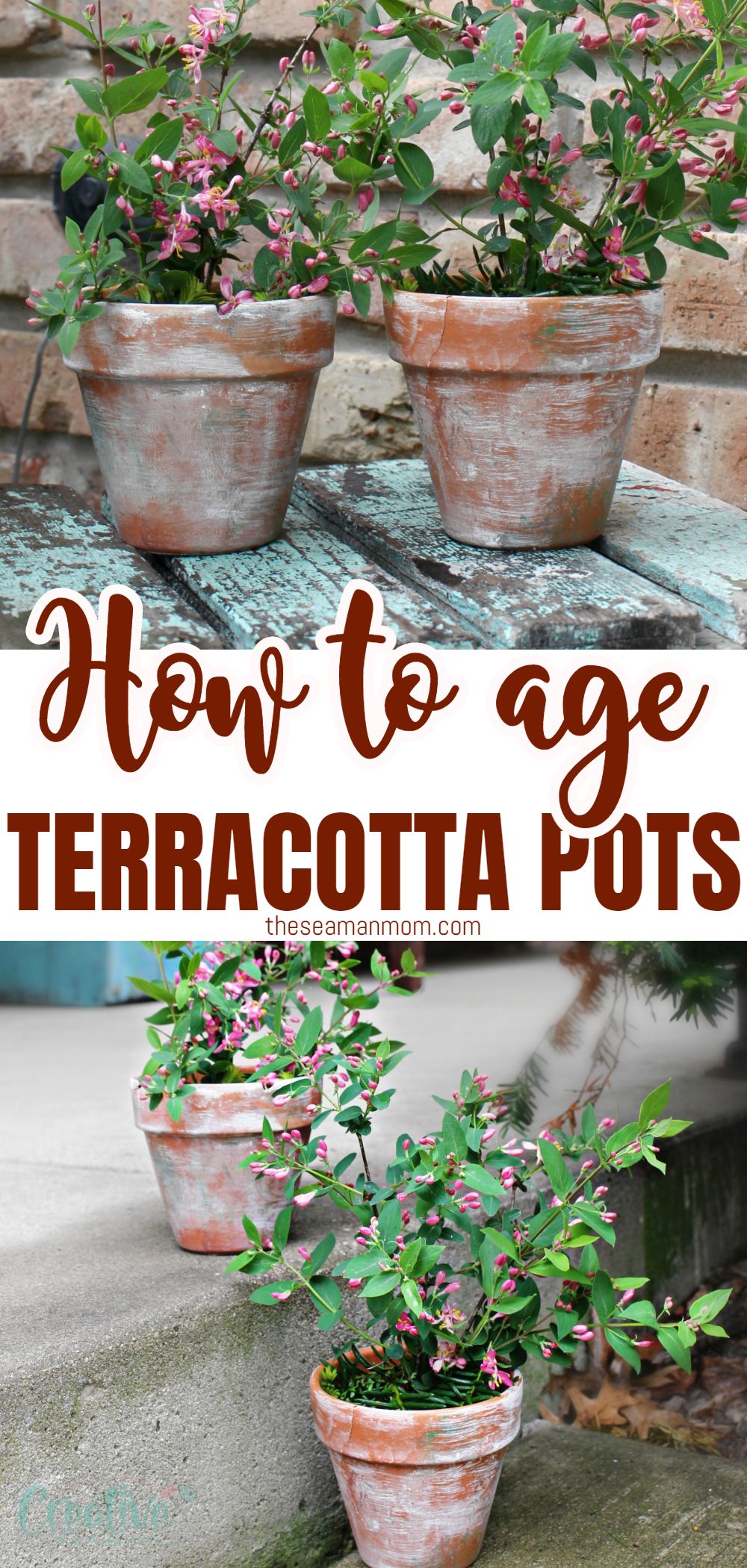 Bring a little vintage to your home decor with a couple of distressed, white washed terracotta pots. These aged terracotta pots are so insanely easy to make you'll find yourself whipping up a bunch of these in just a matter of minutes! In this tutorial you'll learn how to make terracotta pots look old in just a few easy, simple steps! via @petroneagu