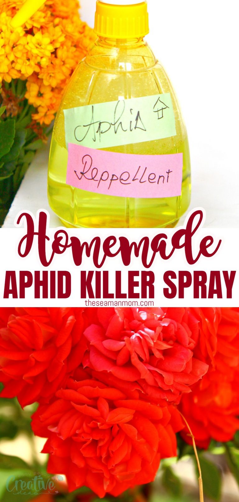 Why Homemade Aphid Spray Is The Best - Easy Peasy Creative Ideas