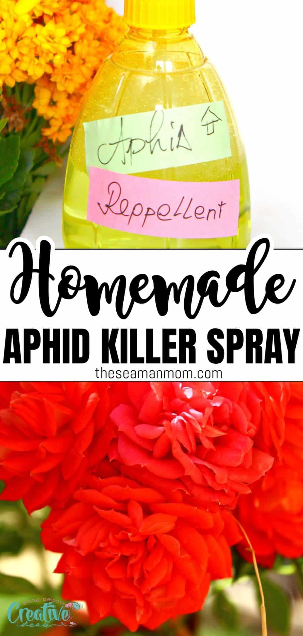 Getting rid of aphids in your garden doesn't have to involve toxic chemicals! Not when you can make your own natural homemade aphid spray in just a couple of minutes! via @petroneagu