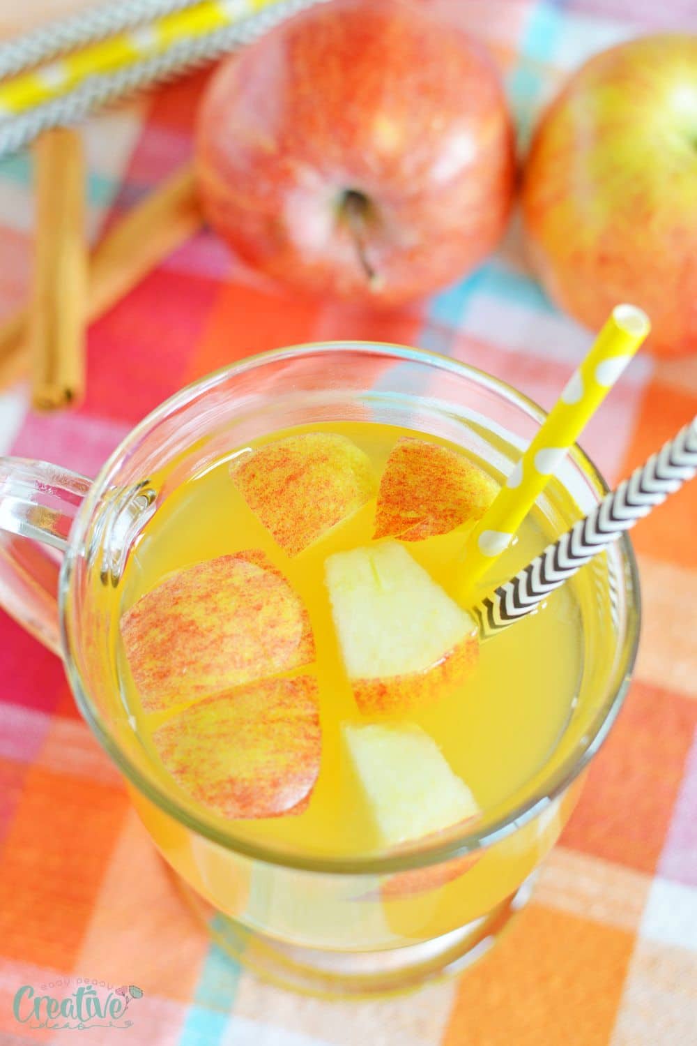 Top photo of a drinking mug filled with boozy apple cider