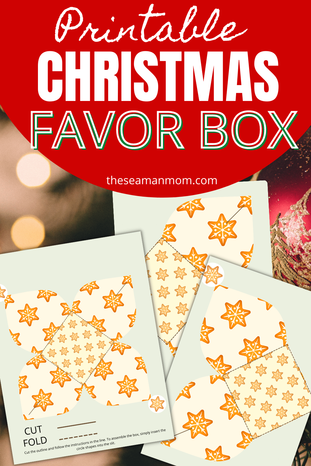 How to Make a Paper Box: Free Printable box template for Christmas favors and gifts