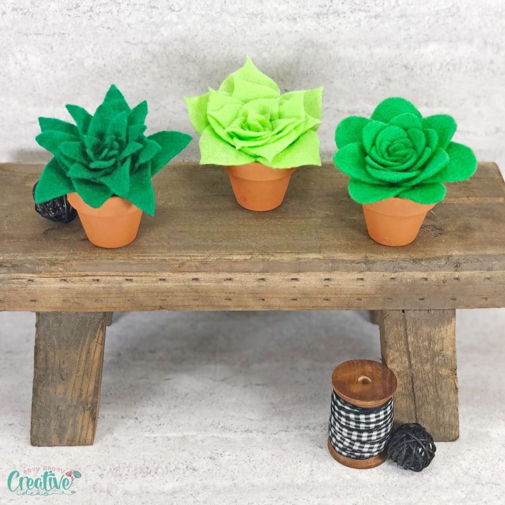 Angle image of three fake succulents in mini terracotta pots, made from felt succulent pattern