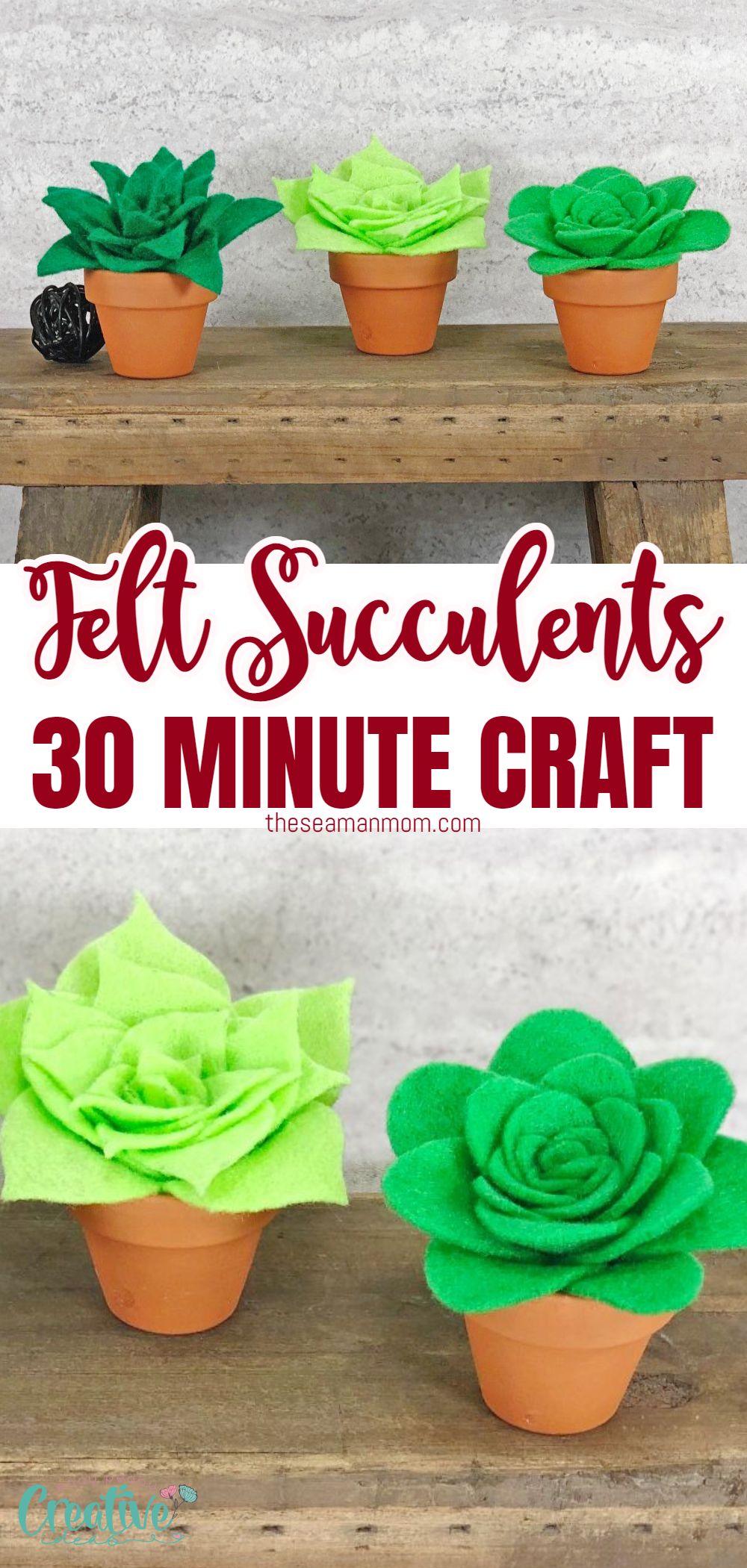Make your own felt succulent plants for your home! These make great housewarming gifts, and you don't need to water them! Read through to see what supplies you'll need and how to make your own DIY succulent planters. Cute, inexpensive, and fun to make, this succulent craft is a great project for crafters of every skill level. via @petroneagu