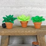 Image of three felt succulents in mini terracotta pots