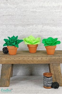 Image of three felt succulents in mini terracotta pots