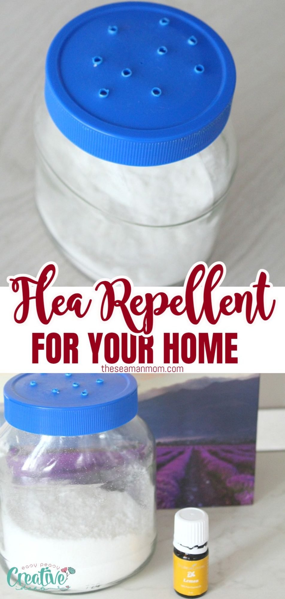 Photo collage of homemade flea repellent for home in a jar with pierced lid