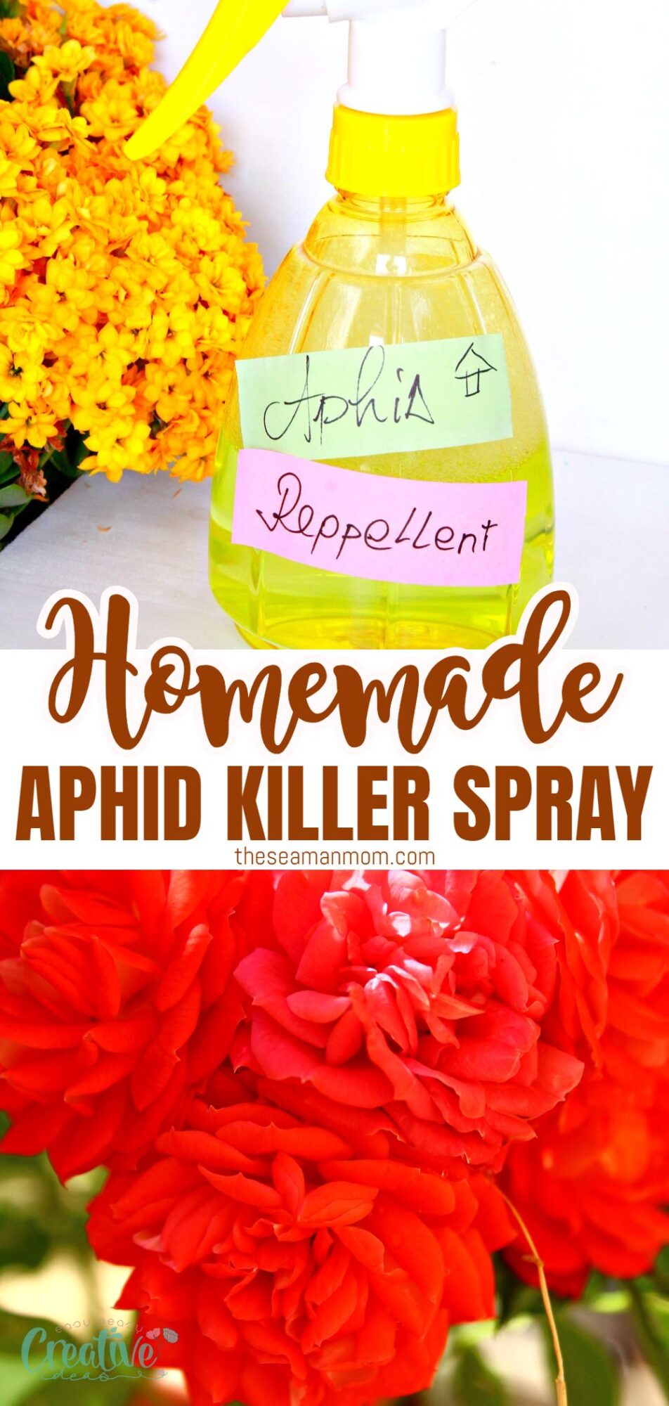 Organic aphid control: homemade aphid spray. A natural DIY solution to keep aphids away from your garden.