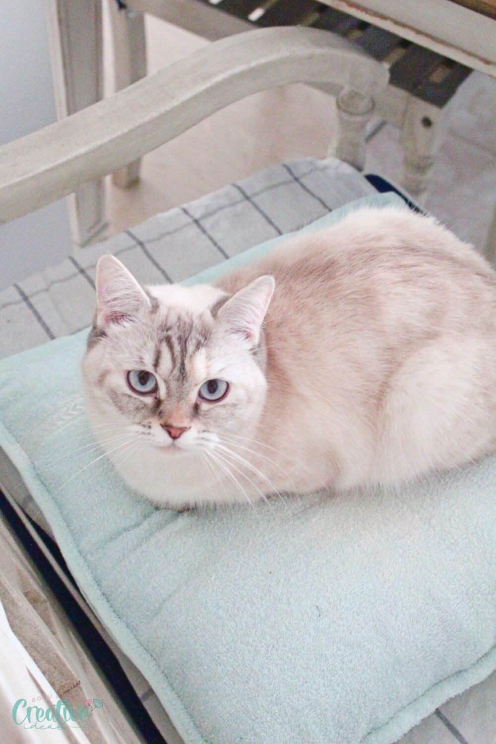 Create a comfortable cat bed using a towel. Sew one within 10 minutes by following these simple instructions