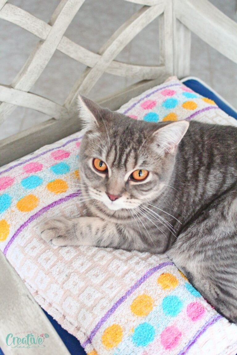 Create a comfy cat bed from a towel in minutes! DIY project for a purrfect spot that matches your home.